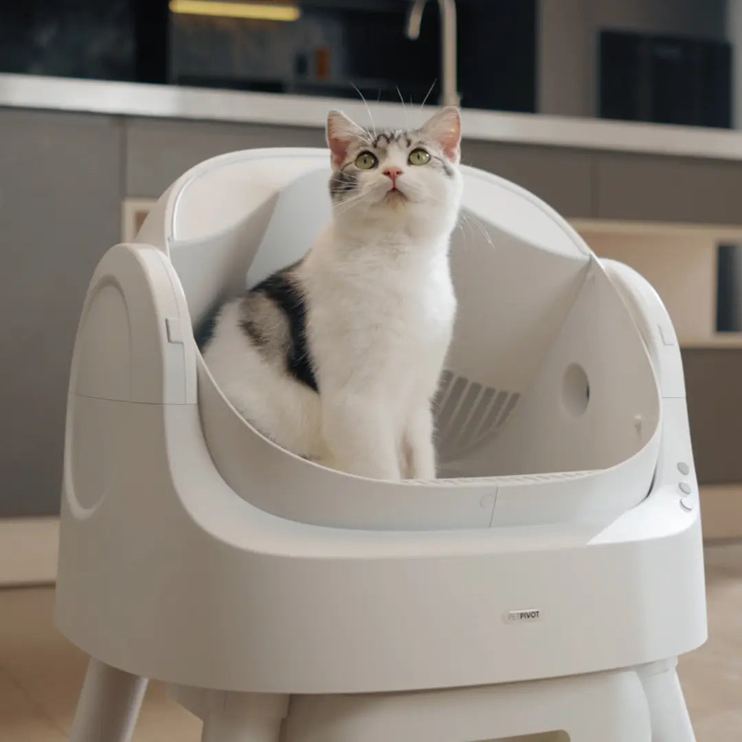 Open Top Automatic Self Cleaning Litter Box for Multiple Cats