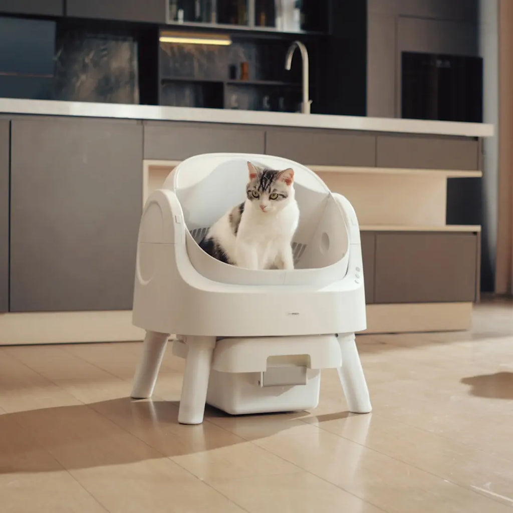 Open Top Automatic Self Cleaning Litter Box for Multiple Cats
