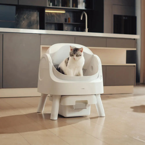 Open Top Automatic Self Cleaning Litter Box for Multiple Cats