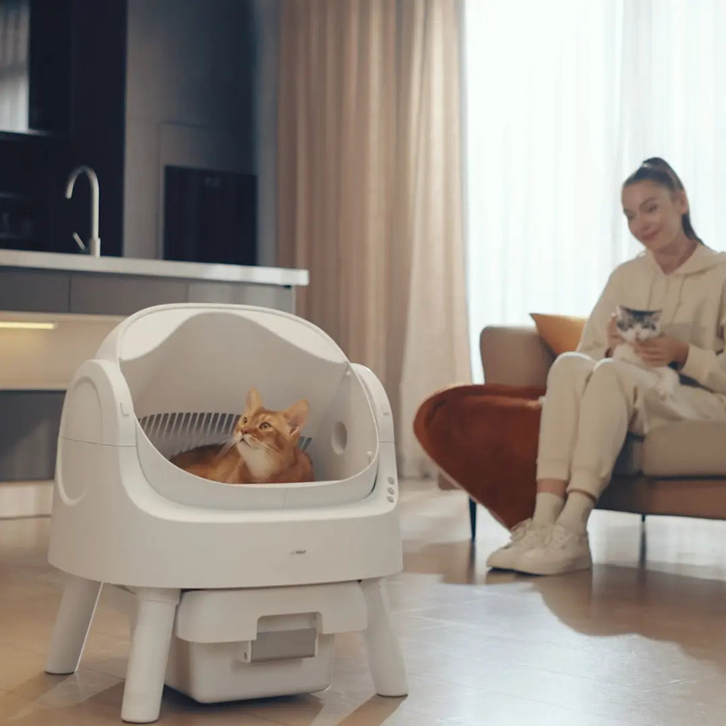 Open Top Automatic Self Cleaning Litter Box for Multiple Cats